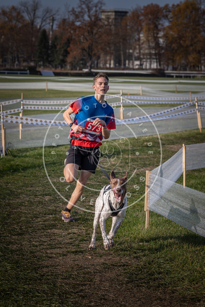 CaniXpix_0L8A9507 | Hundefotografie, Tierfotograf, Pfotenfotografie, Fotoshooting Hund, Hunde Portrait, Hundesport, Hundeportraits, Heideshooting, Hunde, Sportfotograf, Hundefotograf, Turnierhundsport, THS,  - Realisiert mit Pictrs.com