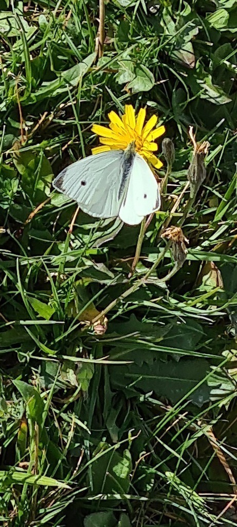 20210905_133831 | Heilkarten - Realisiert mit Pictrs.com