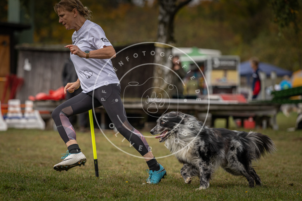 Pfotenfotografie_DV3A5646 | Hundefotografie, Tierfotograf, Pfotenfotografie, Fotoshooting Hund, Hunde Portrait, Hundesport, Hundeportraits, Heideshooting, Hunde, Sportfotograf, Hundefotograf, Turnierhundsport, THS,  - Realisiert mit Pictrs.com