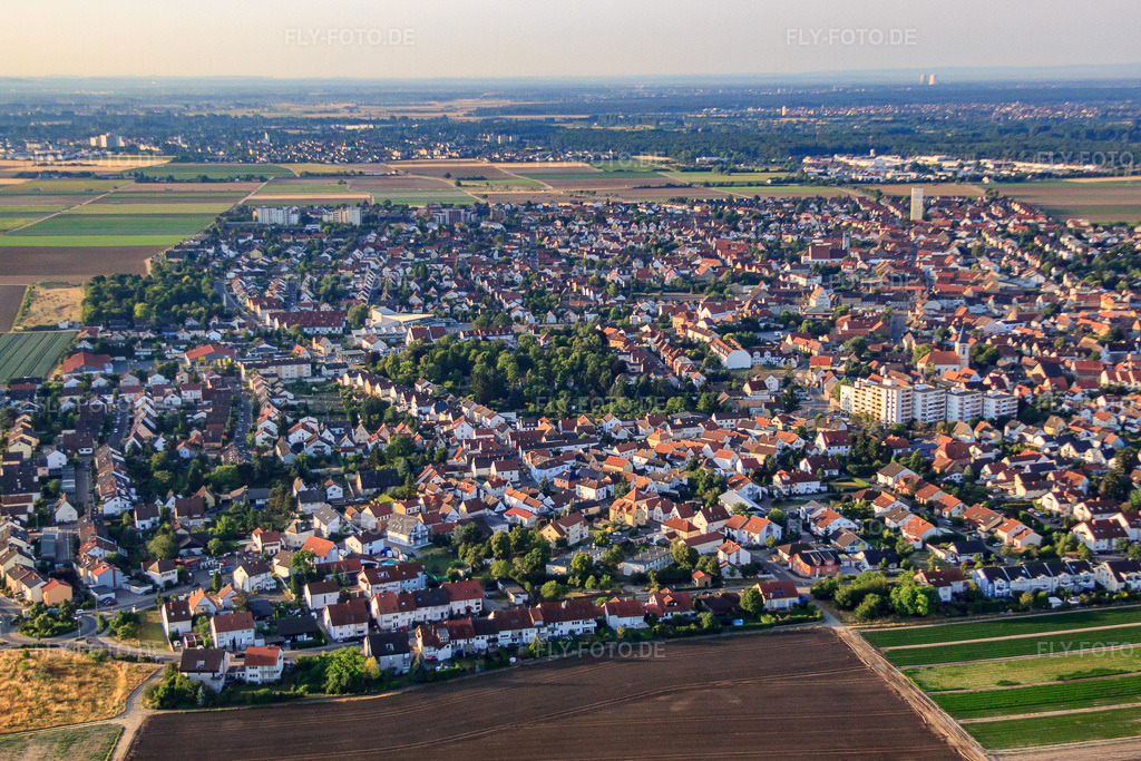 Luftbild: Stadtübersicht von Norden in Mutterstadt im Bundesland Rheinland-Pfalz in Deutschland. Foto: IMG_69530.jpg vom 04.07.2014 durch Werner Riehm/FLY-FOTO.de