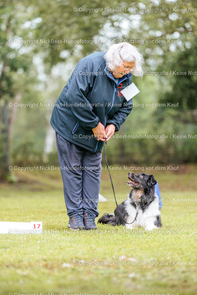 RO-Blumenthal-2026-Nickbest-Hundefotografie-3980 | Dein Hund! Dein Moment! Deine Erinnerungen! Hundefotografie in Bremen Blumenthal. Ich fange die besonderen Momente deines Vierbeiners ein – ob Indoor mit Blitzanlage oder in der freien Natur. Sicher dir dein Moment und dein Termin für eure Erinnerungen.