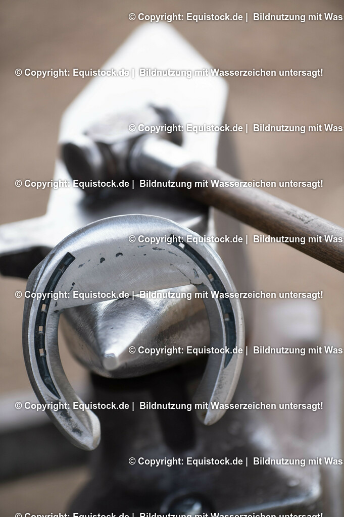 20210429_Spezialbeschlag_0006 | equistock
