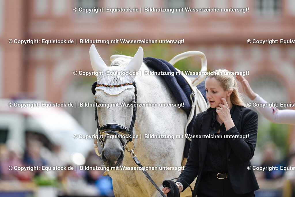 20250608_CVI-Masterclass_0282 | Foto: Thomas Hartig