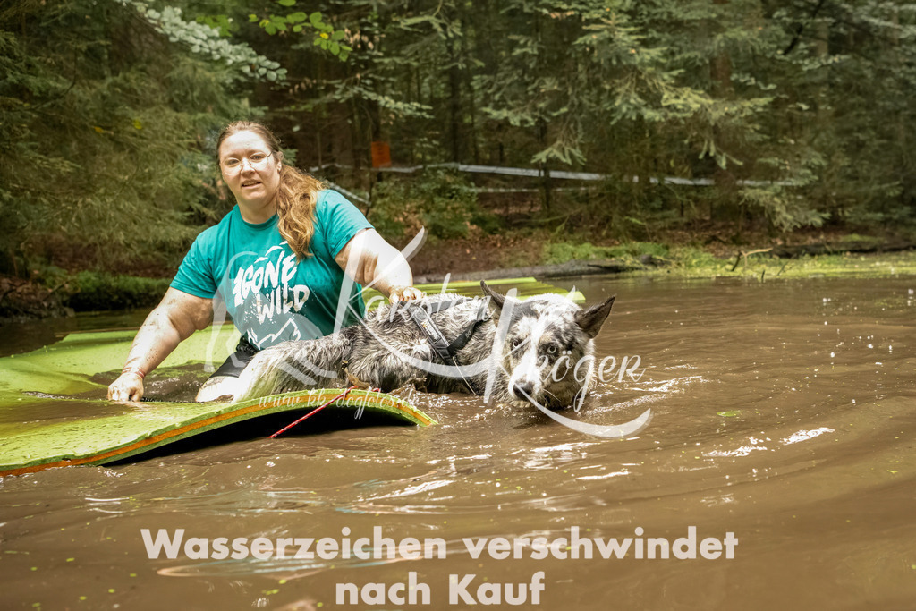 1205_ZZ92581-Bearbeitet | kk-dogfotos