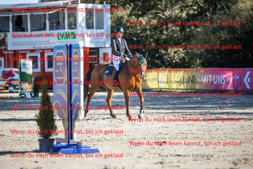 BK1A7631 | Turnierbilder Turnierfotos Nina Hüffmann Turnierfotografie Pferdefotografie Tierzeichnung Haustierzeichnung Pferdezeichnung Hundezeichnung Videograf  - Realisiert mit Pictrs.com