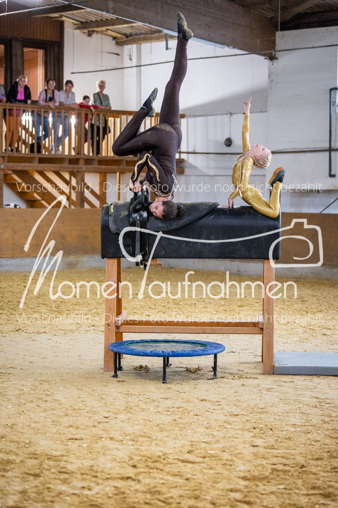 Holzpferd-065 | MomenTaufnahmen Pferdesportfotos