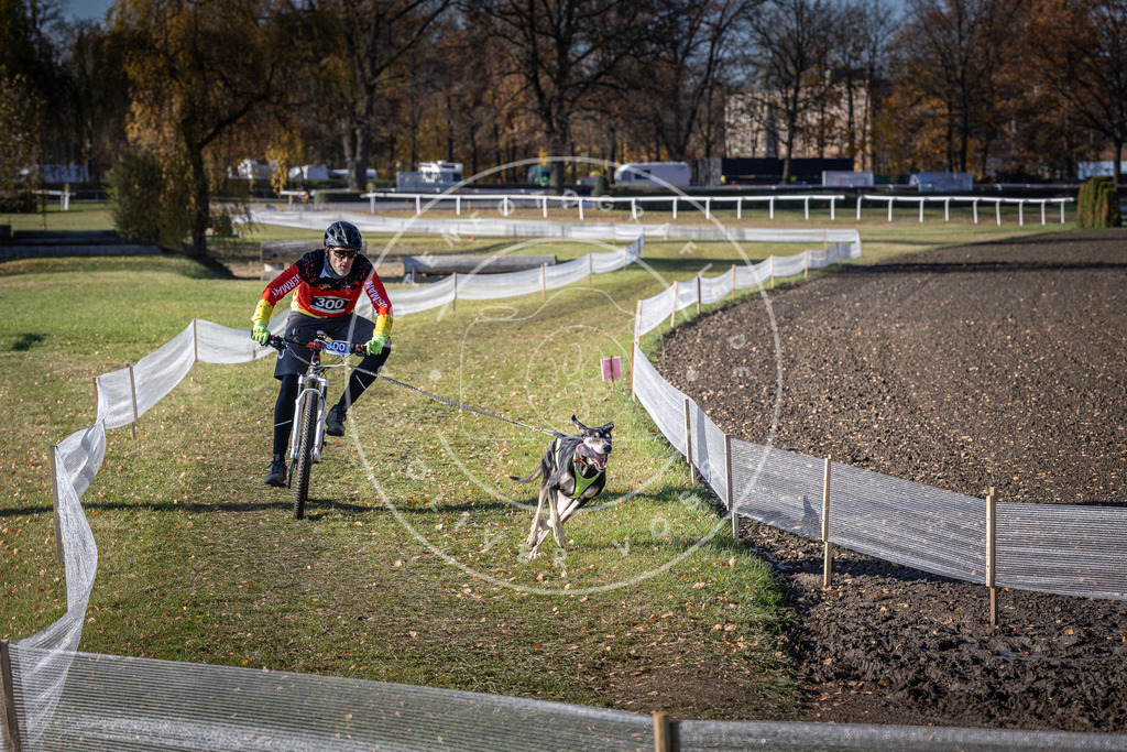 CaniXpix_DV3A6058 | Hundefotografie, Tierfotograf, Pfotenfotografie, Fotoshooting Hund, Hunde Portrait, Hundesport, Hundeportraits, Heideshooting, Hunde, Sportfotograf, Hundefotograf, Turnierhundsport, THS,  - Realisiert mit Pictrs.com