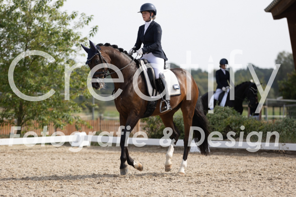 IMG_4117 | Creatify Fotografie