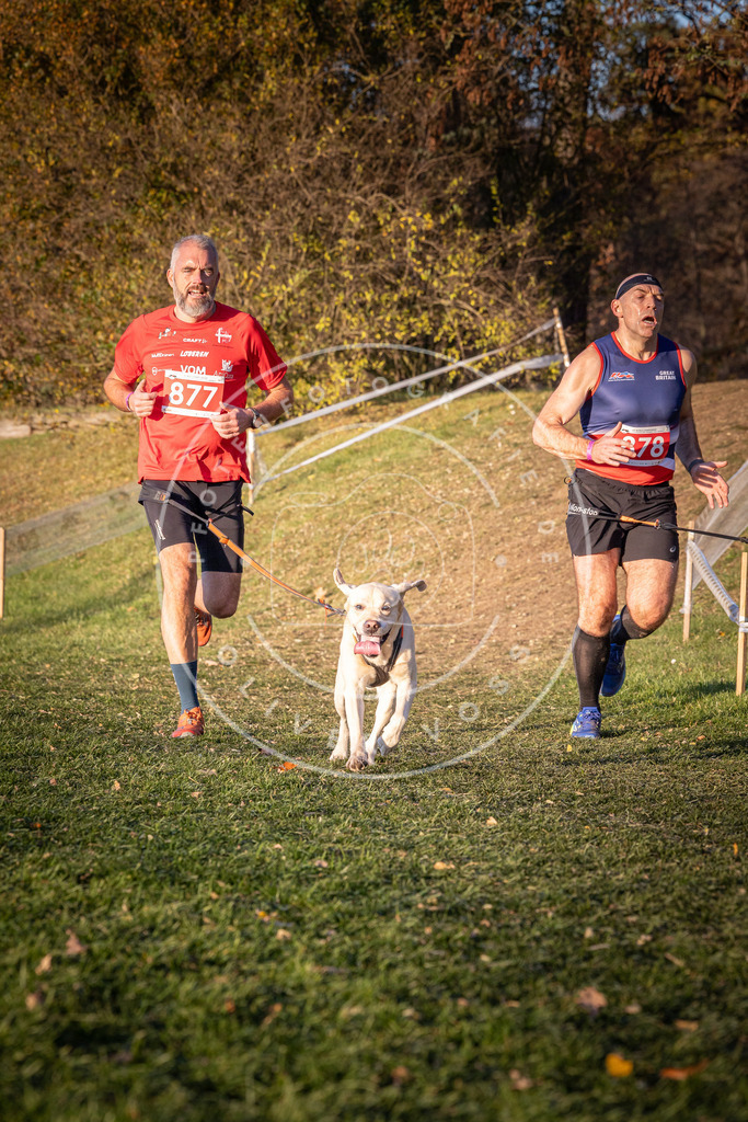 CaniXpix_0L8A1149 | Hundefotografie, Tierfotograf, Pfotenfotografie, Fotoshooting Hund, Hunde Portrait, Hundesport, Hundeportraits, Heideshooting, Hunde, Sportfotograf, Hundefotograf, Turnierhundsport, THS,  - Realisiert mit Pictrs.com