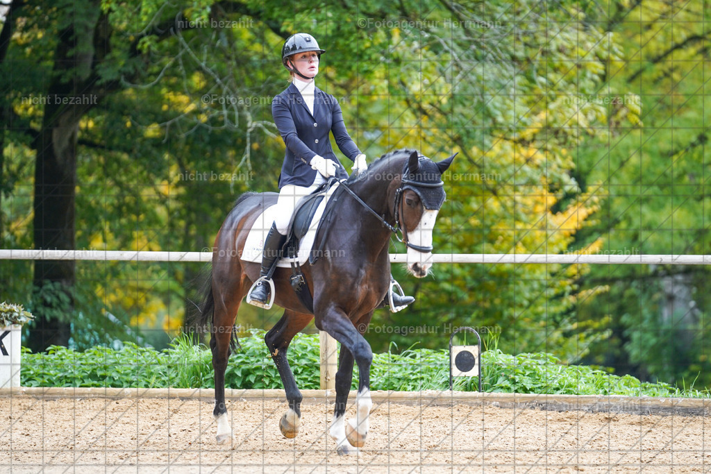 20221008-FAH01073 | Diessen am Ammersee, 2022, Dressur- und Springturnier, Reitsportbilder, Turnierfotografen Bayern, Pferdefotografen, Fotoagentur Herrmann, Turnierbilder