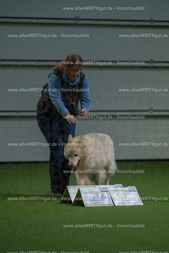 7R500203 | Professionelle Tierfotografie in Mönchengladbach von Daniel Wirth (allesWIRTHgut). Liebevolle & natürliche Bilder von Hunden & Katzen für unvergessliche Erinnerungen.