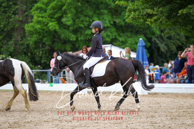 DKP46279 | Turnierfotos kaufen im Webshop von Daniel Kuhl Photography – entdecke professionelle Reitsportfotos aus Turnieren & Events. Hochwertige Turnierbilder online bestellen & sichern. Jetzt Fotos von Reitsportturnieren kaufen!