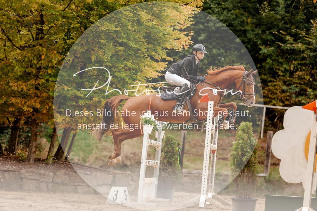 3I6A8156 | Stimmungsvolle Portraits und Reitsportfotografie im Ruhrgebiet und im Münsterland.

Pferdefotografie, Hundefotografie, Tierfotografie, Reportagen, Portraits von Tier und Mensch, Turnierfotografie in Bochum, Recklinghausen, Marl, Haltern am See, Dülmen.. - Realisiert mit Pictrs.com