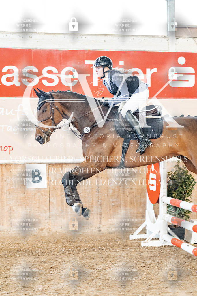 CK904634 | Turnierfotografie Pferdefotografie Trier Rheinland-Pfalz Pferdesport Reitsport Tierfotografie Sportfotografie Pferdevideo Pferdevideografie Equestrianvideography equestrianphotography  - Realisiert mit Pictrs.com