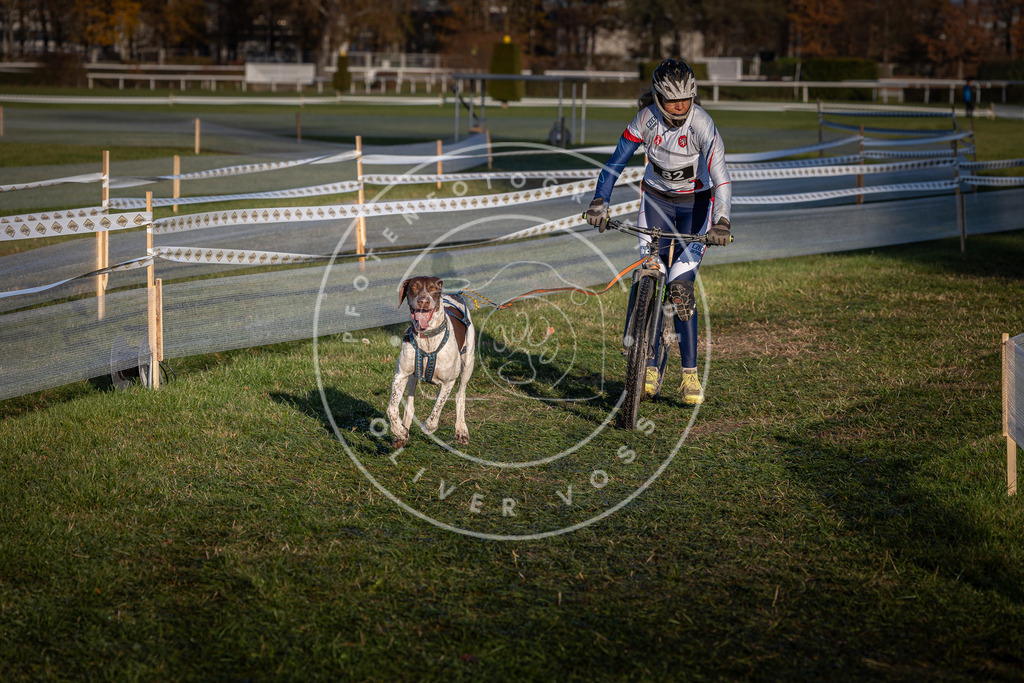 CaniXpix_0L8A3724 | Hundefotografie, Tierfotograf, Pfotenfotografie, Fotoshooting Hund, Hunde Portrait, Hundesport, Hundeportraits, Heideshooting, Hunde, Sportfotograf, Hundefotograf, Turnierhundsport, THS,  - Realisiert mit Pictrs.com