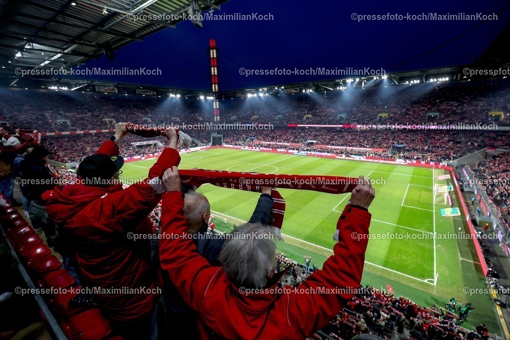 1FC04022601005 | 04.02.2026, Fußball, UEFA Youth League, U19 1. FC Köln - Inter Mailand, Sechzehntelfinale, RheinEnergie-STADION, Saison 2025 2026: Feature über 50000 Besucher Fans Fußballfans feuern die Mannschaft bei ihrem Spiel an. Innenansicht Übersichtsbild Übersicht Übersichtsfoto  DFB regulations prohibit any use of photographs as image sequences and or quasi-video.