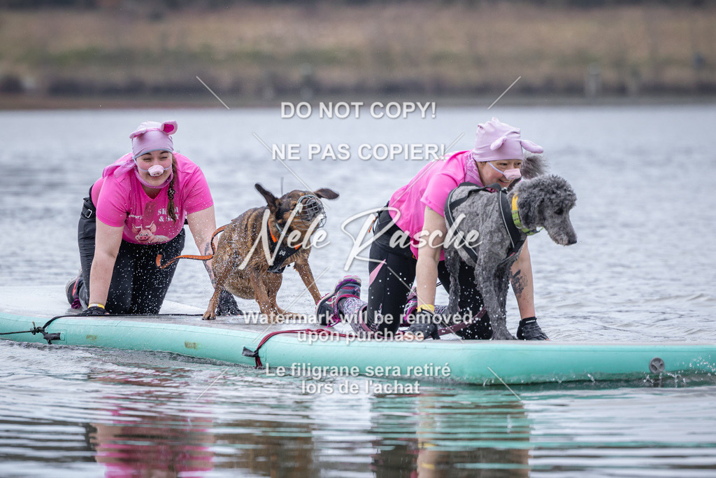 nelerasche_Hulsbeek_Sa1600-1700_399 | nelerasche