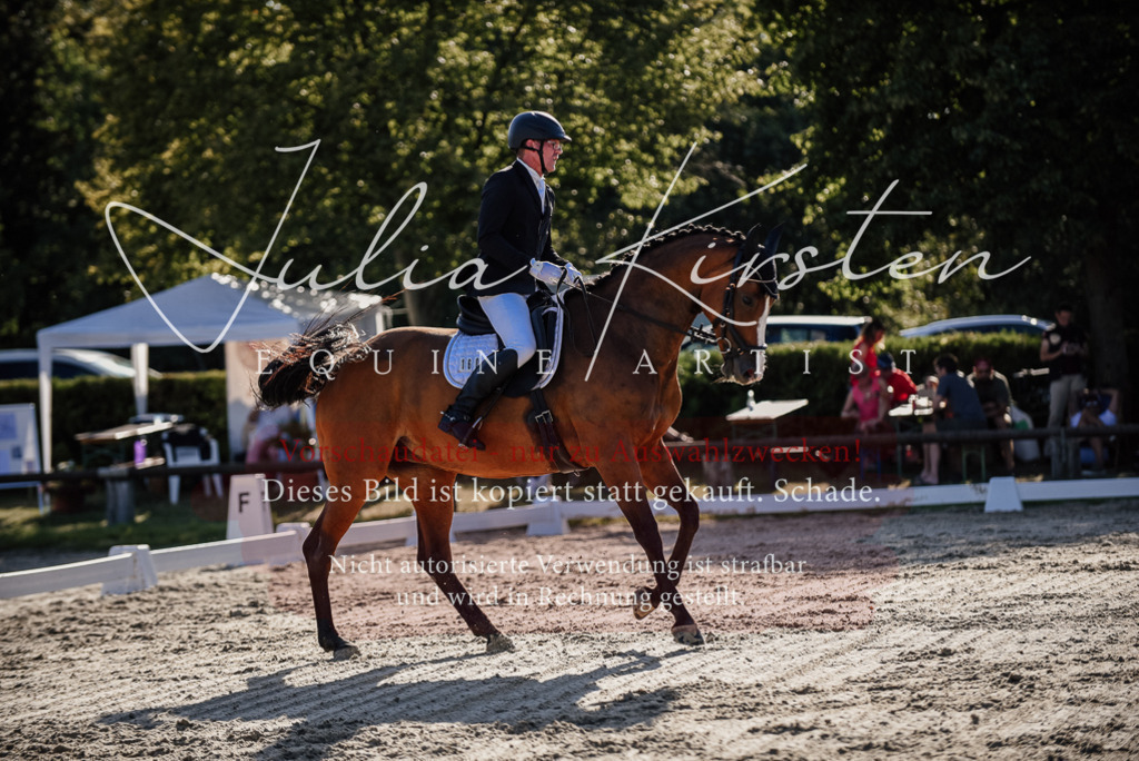 DSC_0621 | Pferde- und Turnierfotografie in Westsachsen. Pferdeportraits, Auftragszeichnungen und intuitive Kunst.