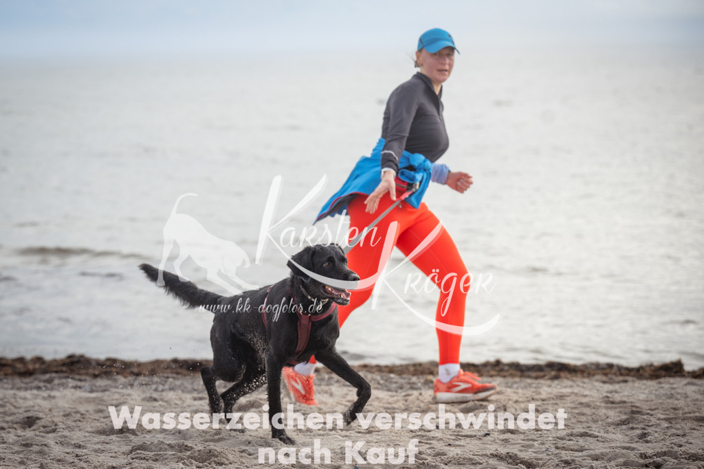 1156_ZZ92746 | kk-dogfotos