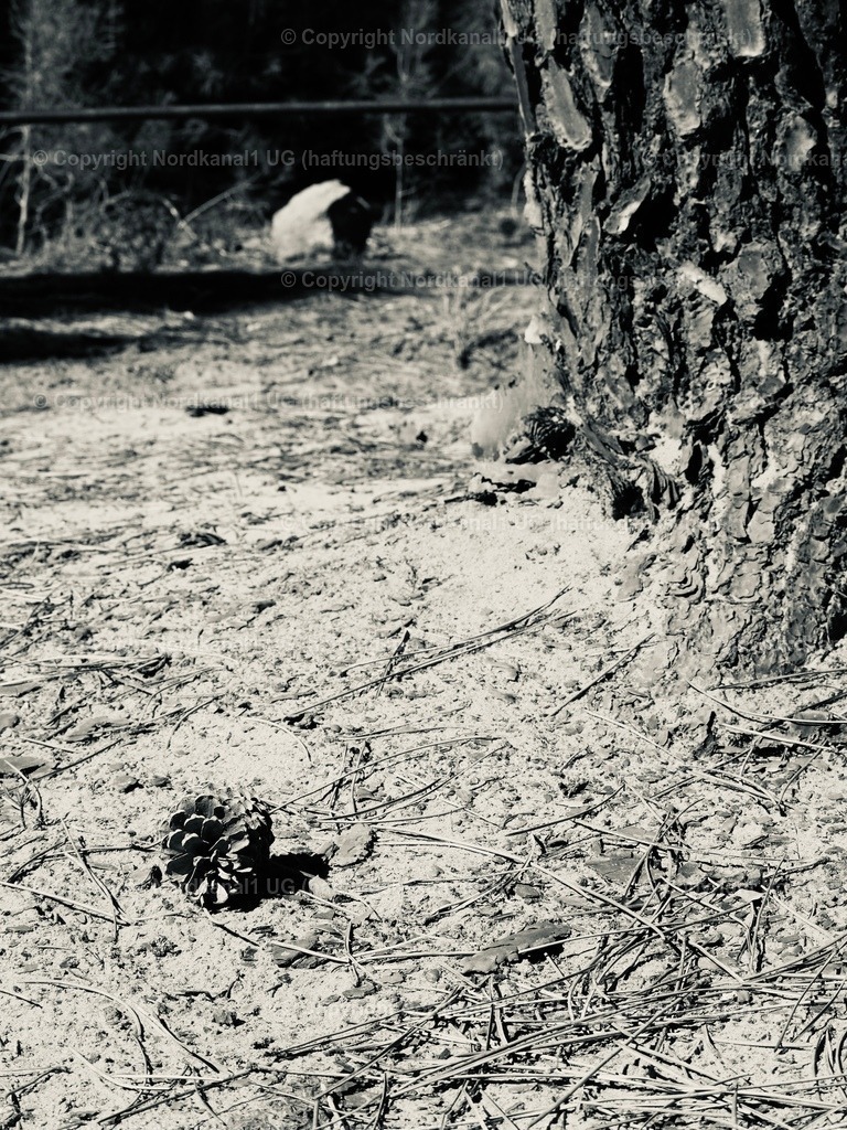 IMG_2944 | OLYMPUS DIGITAL CAMERA          - Realisiert mit Pictrs.com