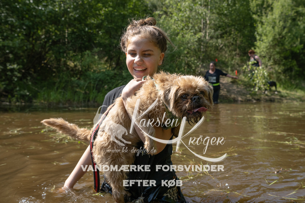1540DKK991785 | kk-dogfotos