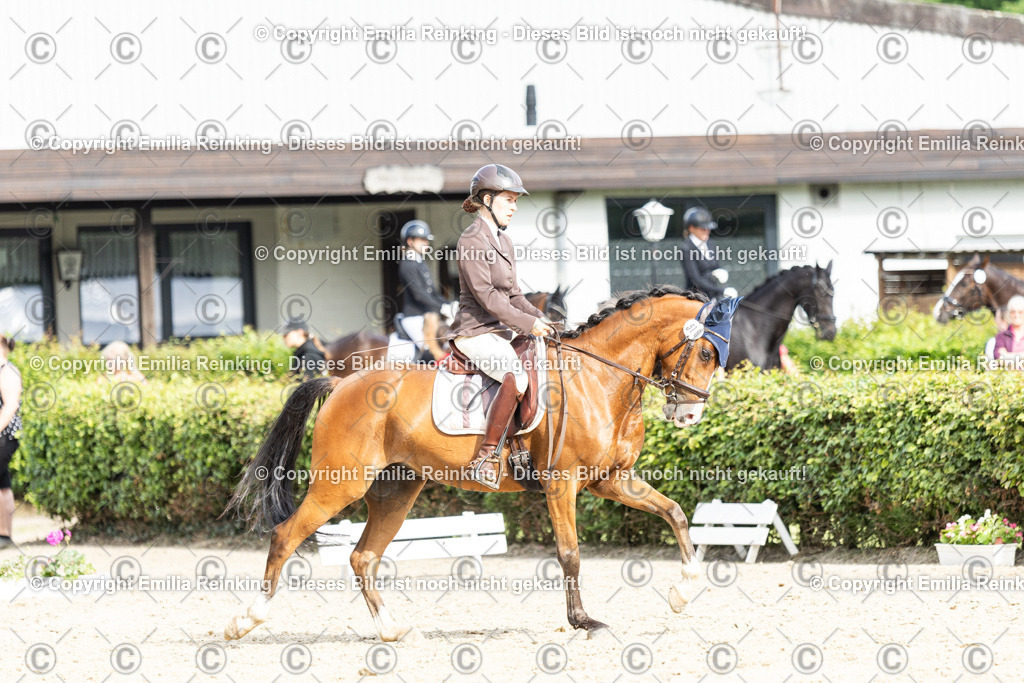 CL5A6750-2 | Emilia Reinking Fotografie - Realisiert mit Pictrs.com