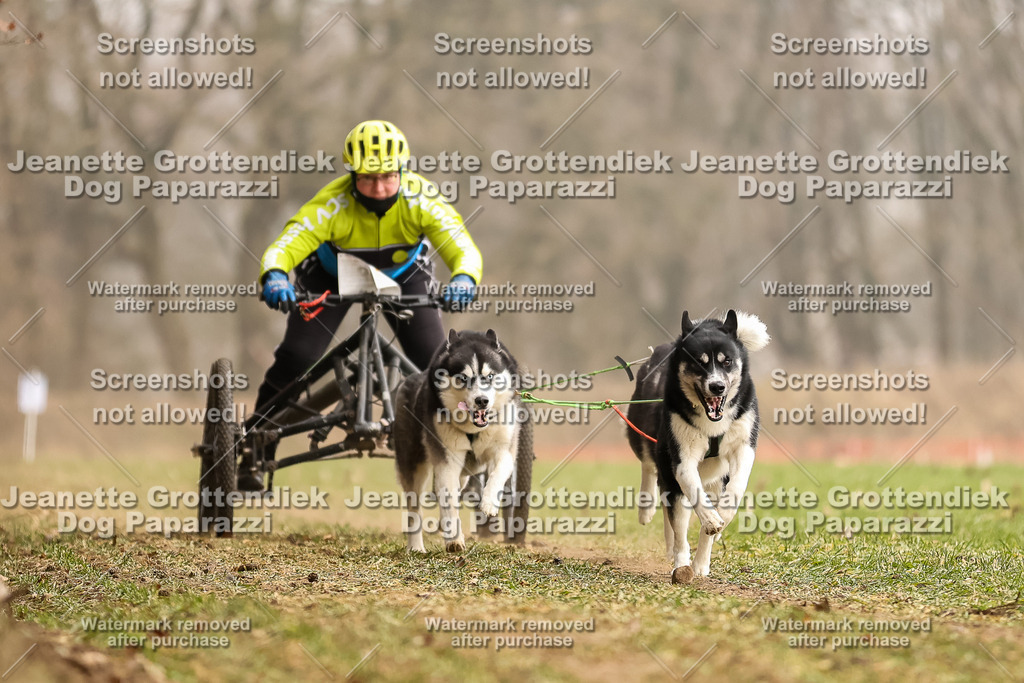 Dog Paparazzi - Plate 2026-104 | Dog Paparazzi Jeanette Grottendiek Fotografie & Videografie - Realisiert mit Pictrs.com