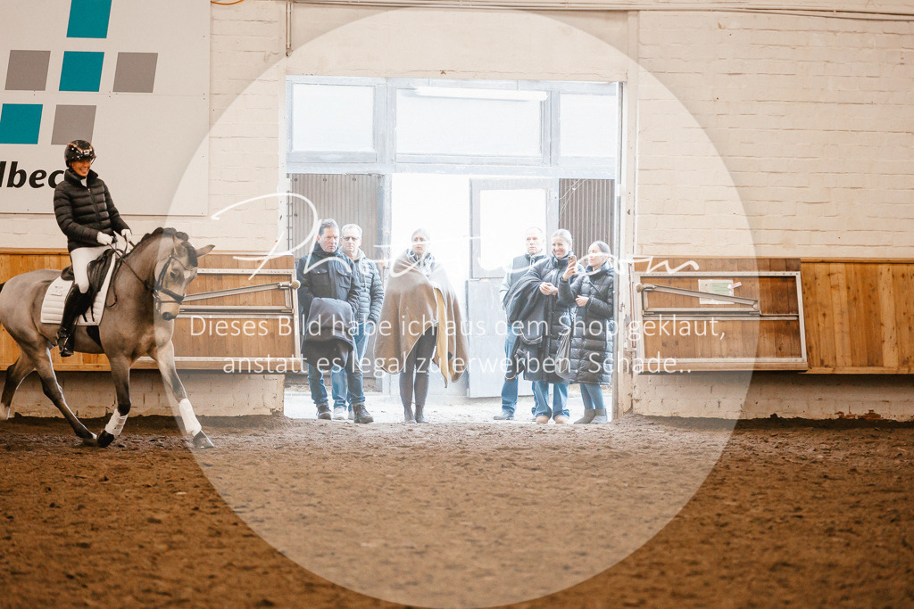 3I6A1278 | Stimmungsvolle Portraits und Reitsportfotografie im Ruhrgebiet und im Münsterland.

Pferdefotografie, Hundefotografie, Tierfotografie, Reportagen, Portraits von Tier und Mensch, Turnierfotografie in Bochum, Recklinghausen, Marl, Haltern am See, Dülmen.. - Realisiert mit Pictrs.com