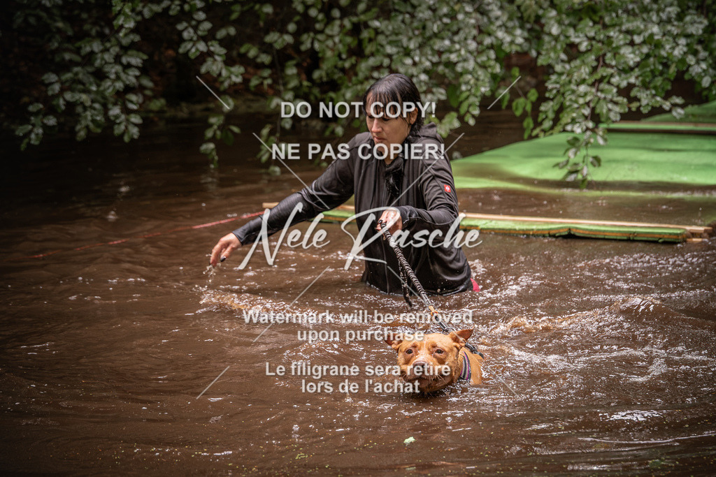 nelerasche_Wingst_Sa1330-1400_29 | nelerasche