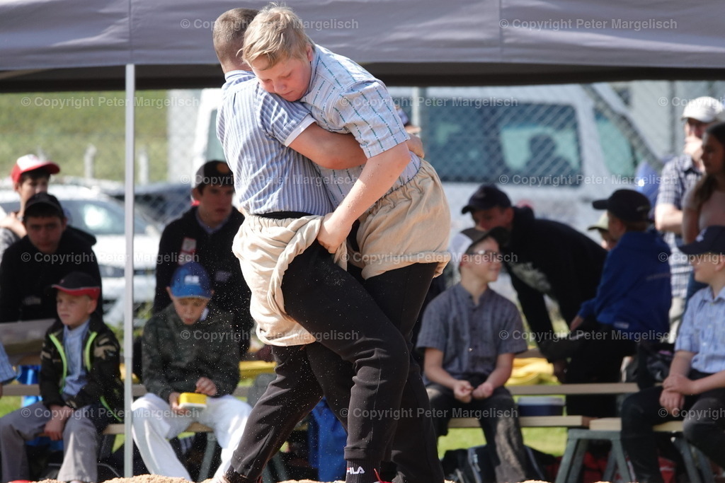 DSC04346 | Schwingen - Realisiert mit Pictrs.com