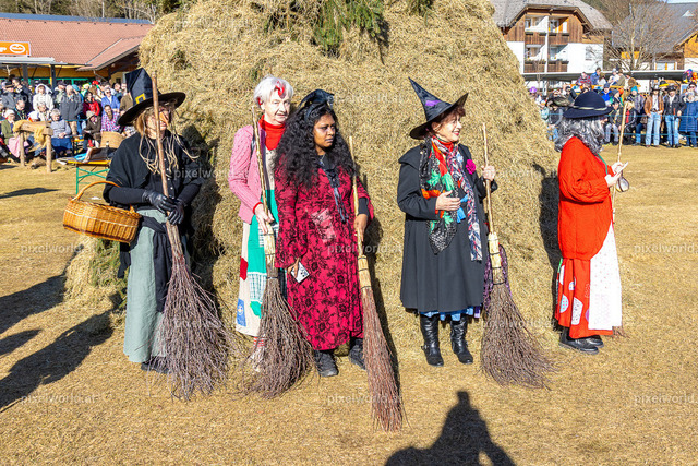 Bärentreiben in Steuerberg | Bildershop von pixelworld.at - Realisiert mit Pictrs.com