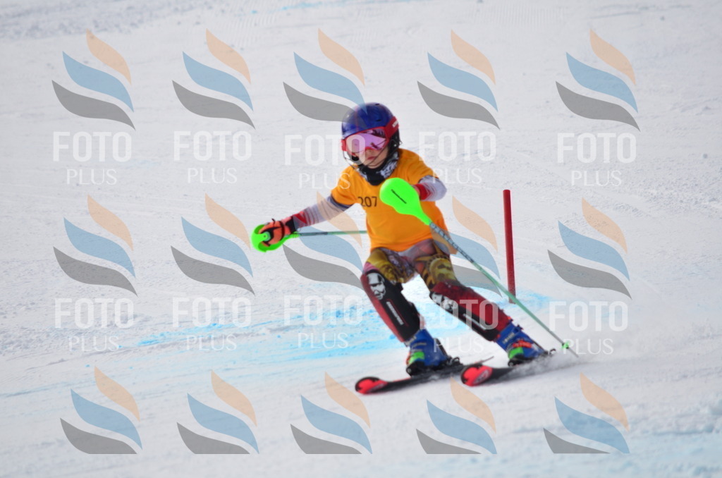 C8154 | holidayphoto