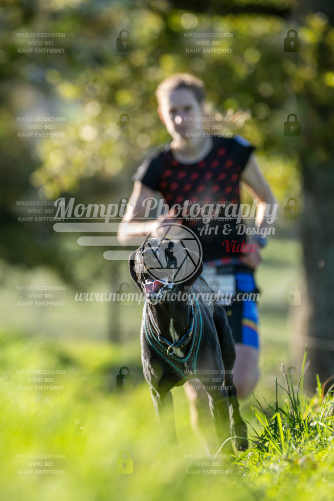 MompixPhotography_20TSB_E3_Run-186 | PayLife