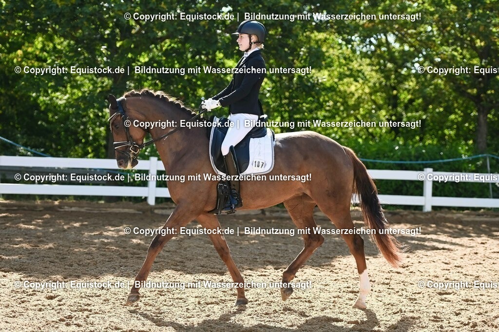 20230715_06_Dressurpferdeprfg. Kl.A_0418 | equistock