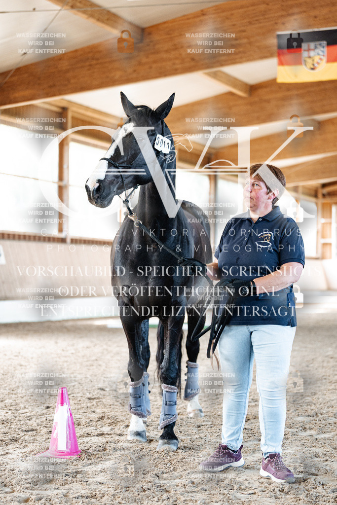 CK906293 | Turnierfotografie Pferdefotografie Trier Rheinland-Pfalz Pferdesport Reitsport Tierfotografie Sportfotografie Pferdevideo Pferdevideografie Equestrianvideography equestrianphotography  - Realisiert mit Pictrs.com