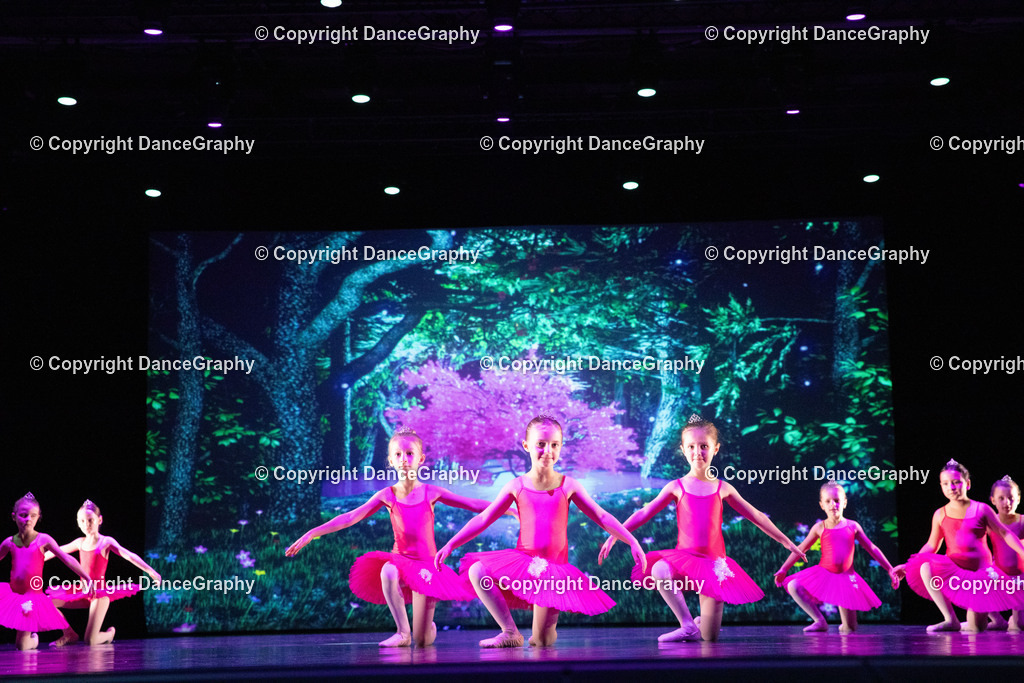 GPHY6031 | DanceGraphy - Realisiert mit Pictrs.com