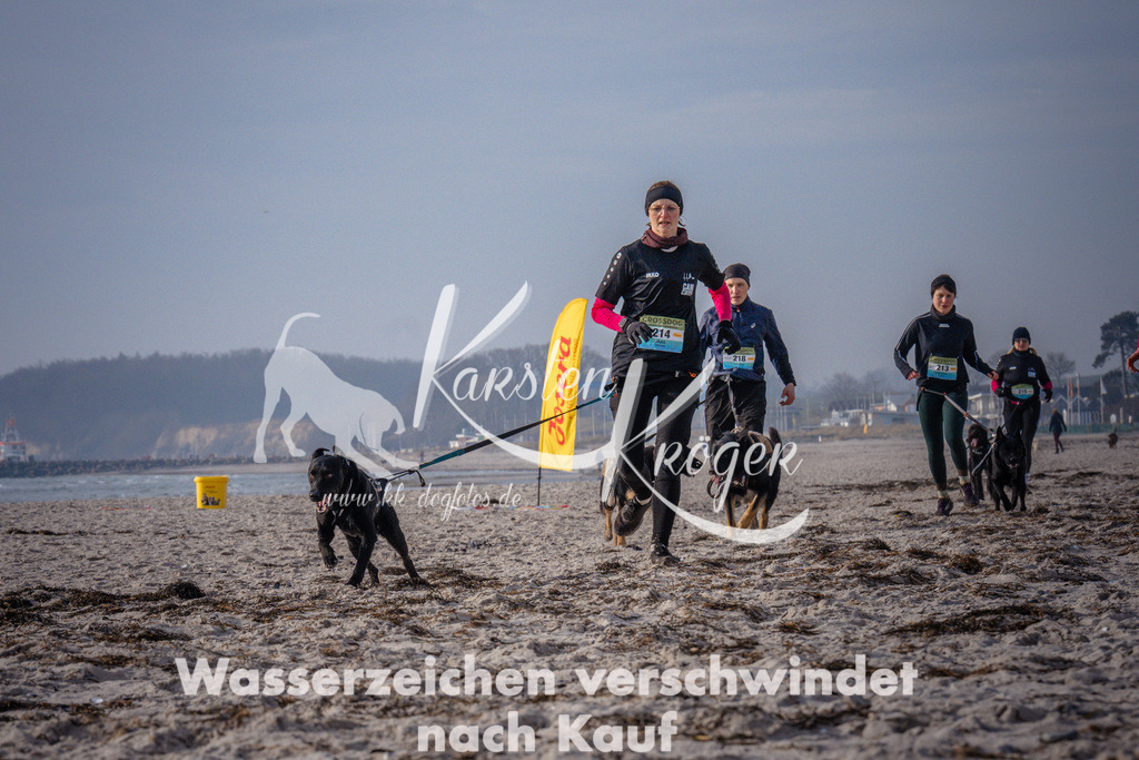1012_ZZ94115 | kk-dogfotos