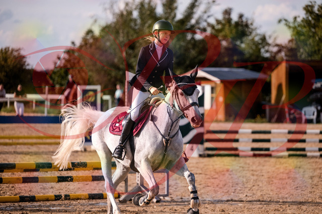 2026_10_03_Siefer-Hof_155117_Z81_70051071 | Professionelle Reitsport-, Turnier- und Eventfotografie von Robert Broda. Galerien mit ausgewählten und bearbeiteten Bildern direkt online ansehen und bestellen.