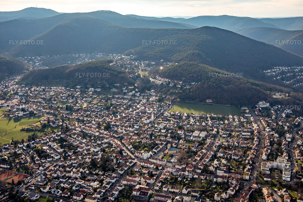 Luftbild: Ortsansicht von Osten in Neustadt an der Weinstraße im Bundesland Rheinland-Pfalz in Deutschland. Foto: IMG_139982.jpg vom 14.03.2024 durch Werner Riehm/FLY-FOTO.de