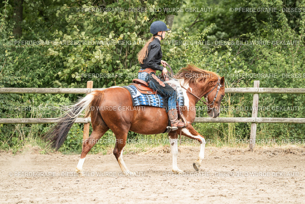 DSC01278 | Pferdegrafie