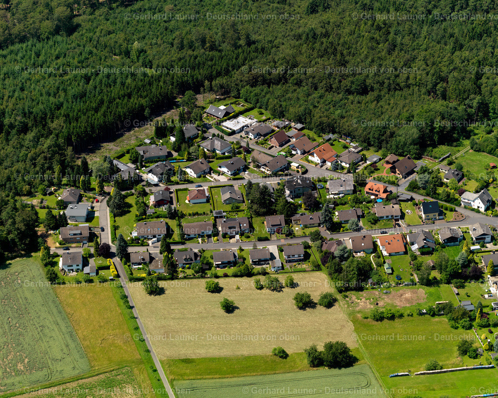 3120478 | Dürrholz