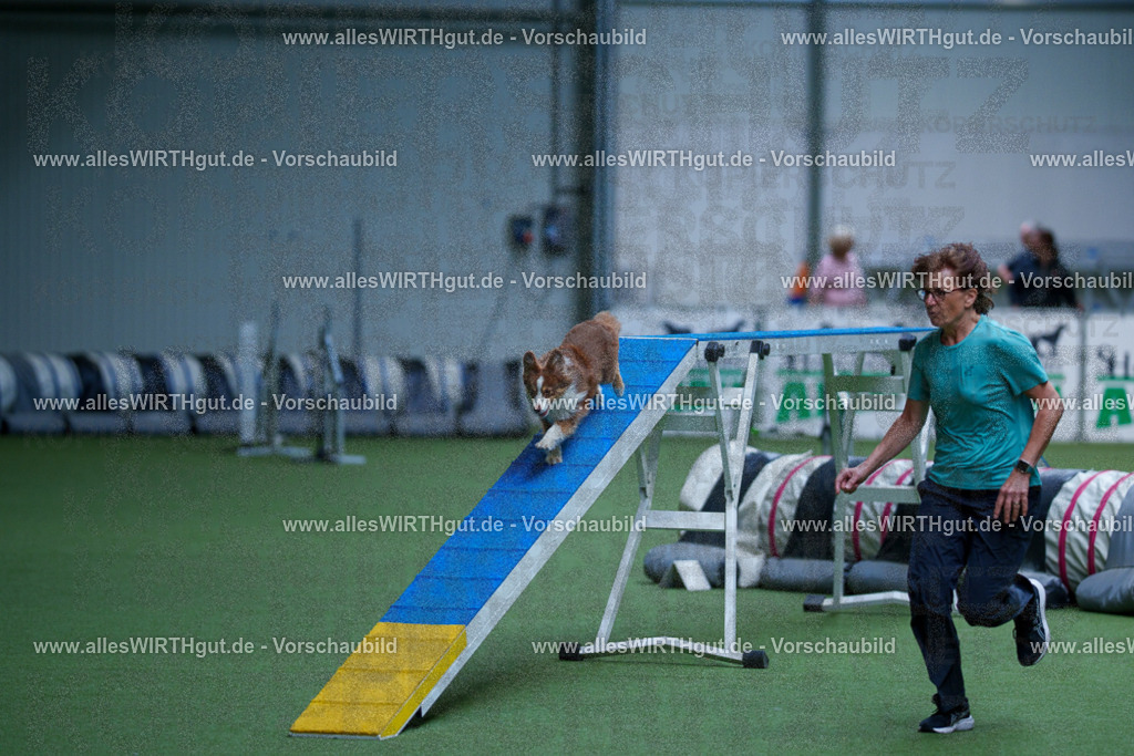 @allesWIRTHgut_Tierfotografie - www.allesWIRTHgut.de - 2604261114-7R509304 | Professionelle Tierfotografie in Mönchengladbach von Daniel Wirth (allesWIRTHgut). Liebevolle & natürliche Bilder von Hunden & Katzen für unvergessliche Erinnerungen.