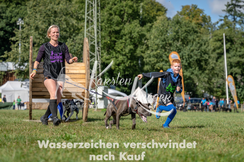 1119_ZZ94612 | kk-dogfotos