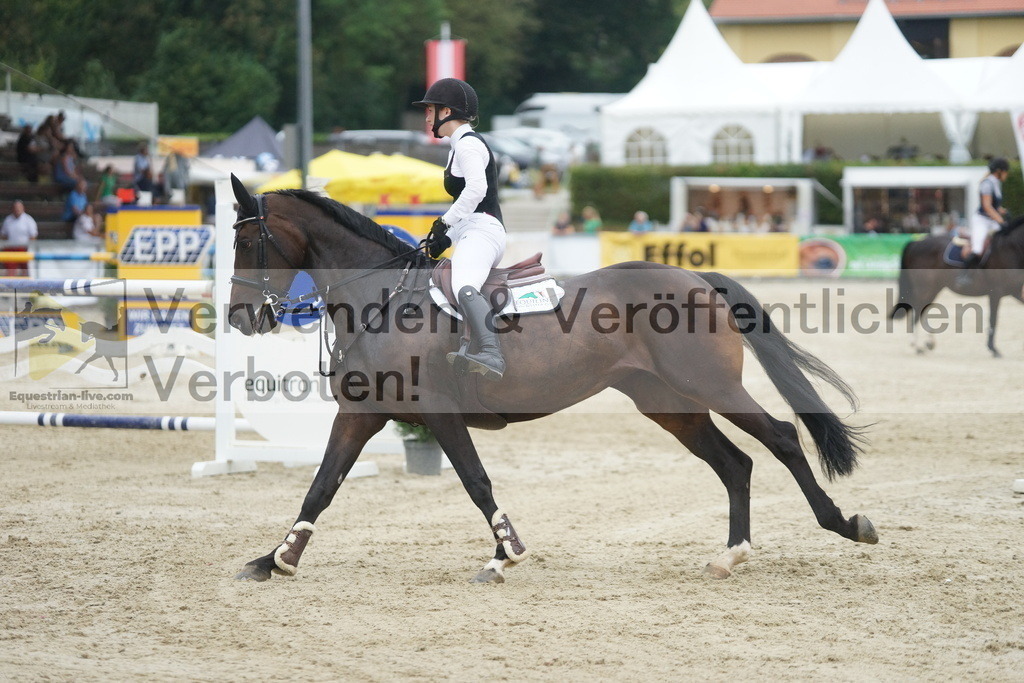 DSC08590 | equestrian-live-com