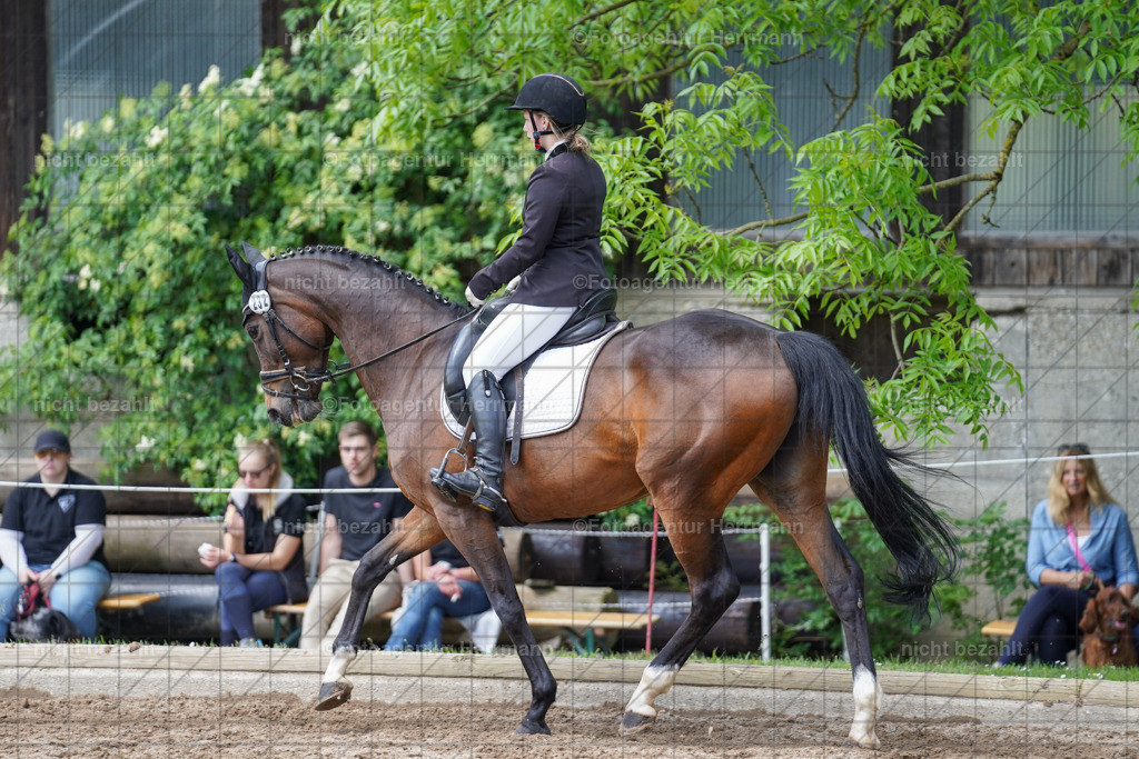 20240519-FAH05090 | Turnierbilder Niederseeon 2024, Vielseitigkeitsdressur, Reitsportbilder aus dem Landkreit Ebersberg, Gut Steinsee, RC Steinsee, Fotoagentur Herrmann