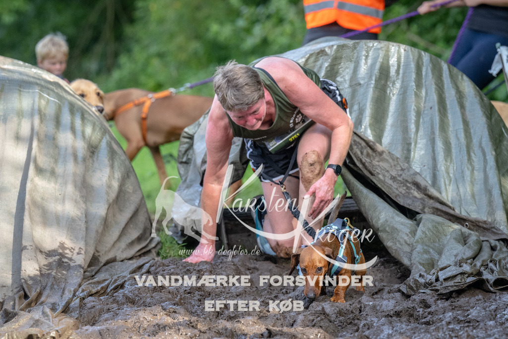 1734_ZZ92630 | kk-dogfotos
