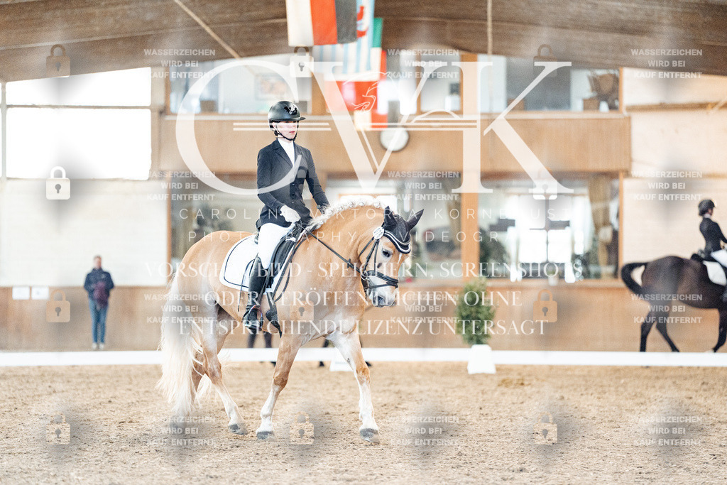 CK907029 | Turnierfotografie Pferdefotografie Trier Rheinland-Pfalz Pferdesport Reitsport Tierfotografie Sportfotografie Pferdevideo Pferdevideografie Equestrianvideography equestrianphotography  - Realisiert mit Pictrs.com