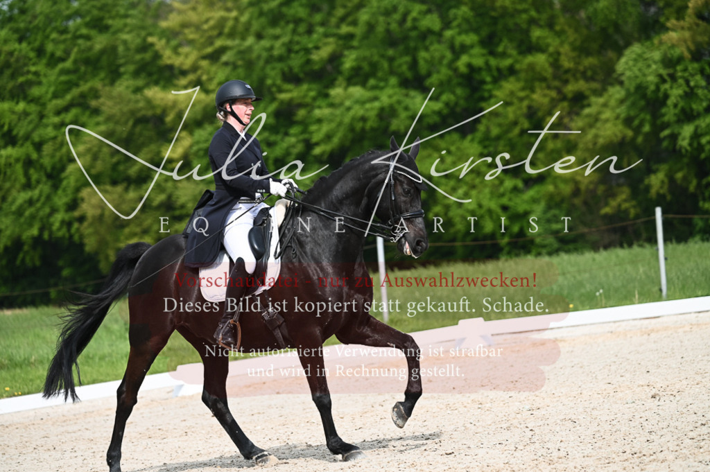 20230513_JK-Röhrsdorf-12-440 | Pferde- und Turnierfotografie in Westsachsen. Pferdeportraits, Auftragszeichnungen und intuitive Kunst.