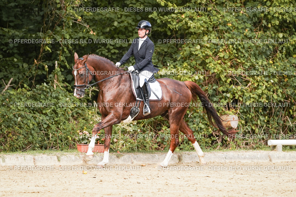 DSC02761 | Pferdegrafie