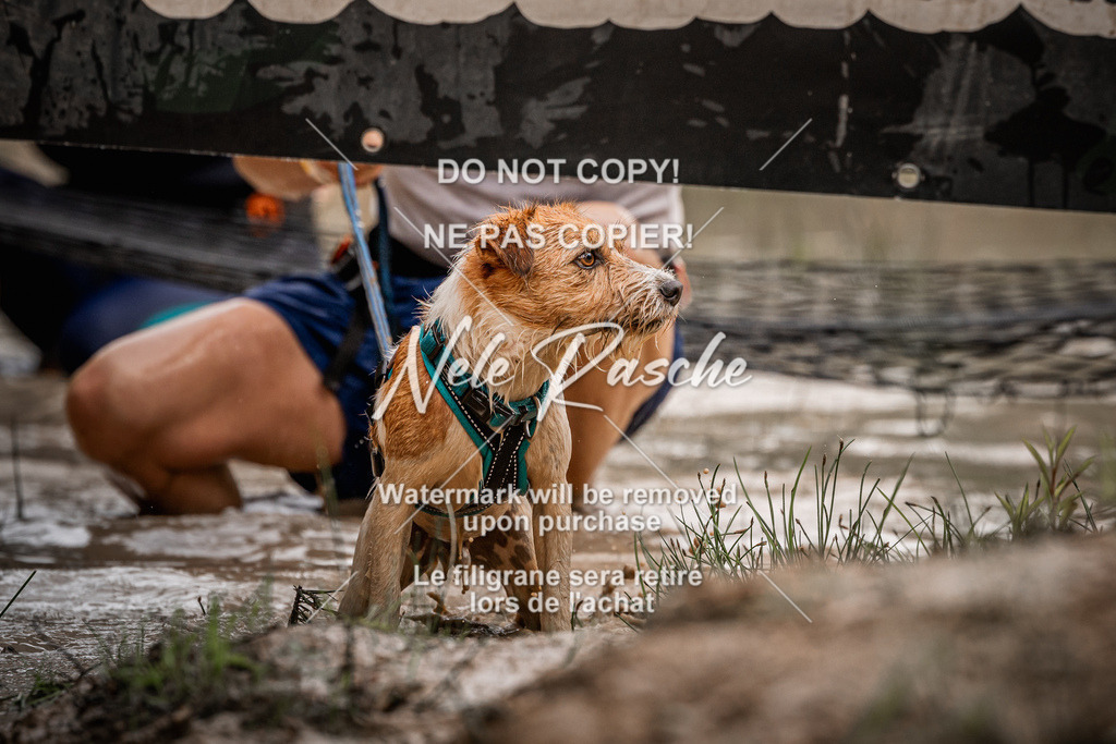 nelerasche_Hoope2026_Sa0900-0930_342 | nelerasche